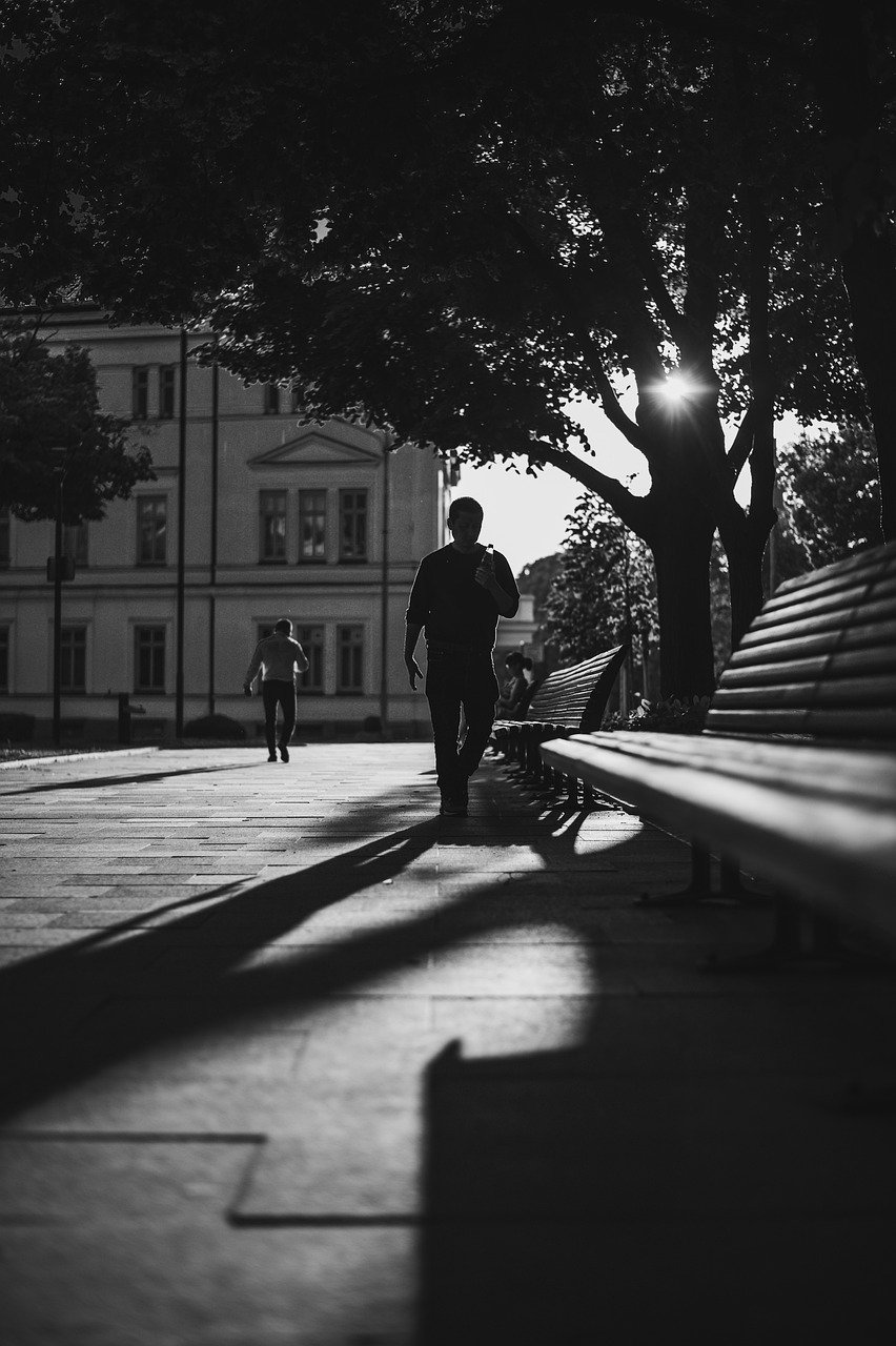 trees, park, walk-7711283.jpg